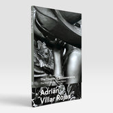 Adrian Villar Rojas: The Theater of Disappearance (The Roof Garden Commission)