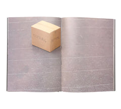 Stefan Bruggemann: Capitalism and Schizophrenia (Rare edition)