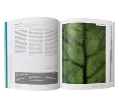 The Complete Beginner's Photography Course: A Modular System for Success