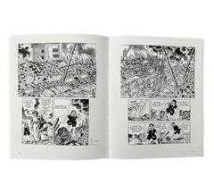 Superheroes, Orphans and Origins: 125 Years in Comics (Rare edition)