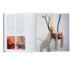 Jimmie Durham (Contemporary Artists Series)