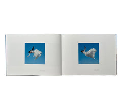 Rosemary Laing: Photographs (Rare edition)