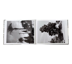 George Haas: Forcing Nature - Trees in Los Angeles (Rare edition)