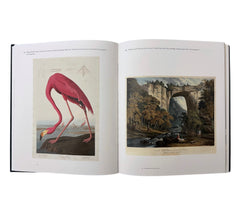 Three Centuries of American Prints: From the National Gallery of Art