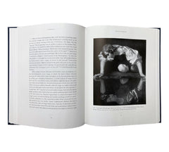 Hall of Mirrors: Roy Lichtenstein and the Face of Painting in the 1960s