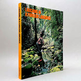 Laughing in a Foreign Language