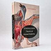 Stripped Bare: The Art of Animal Anatomy
