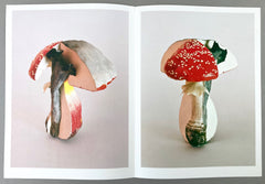 Carsten Höller: Triple Mushrooms - Artist's Portfolio (Rare edition)