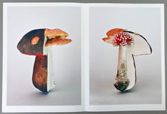 Carsten Höller: Triple Mushrooms - Artist's Portfolio (Rare edition)