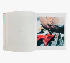 This is how I Remember Now: Portraits - Photographs by Jim Dine
