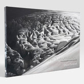 David Pickford: The Light Elsewhere - Encounters with the Elemental World
