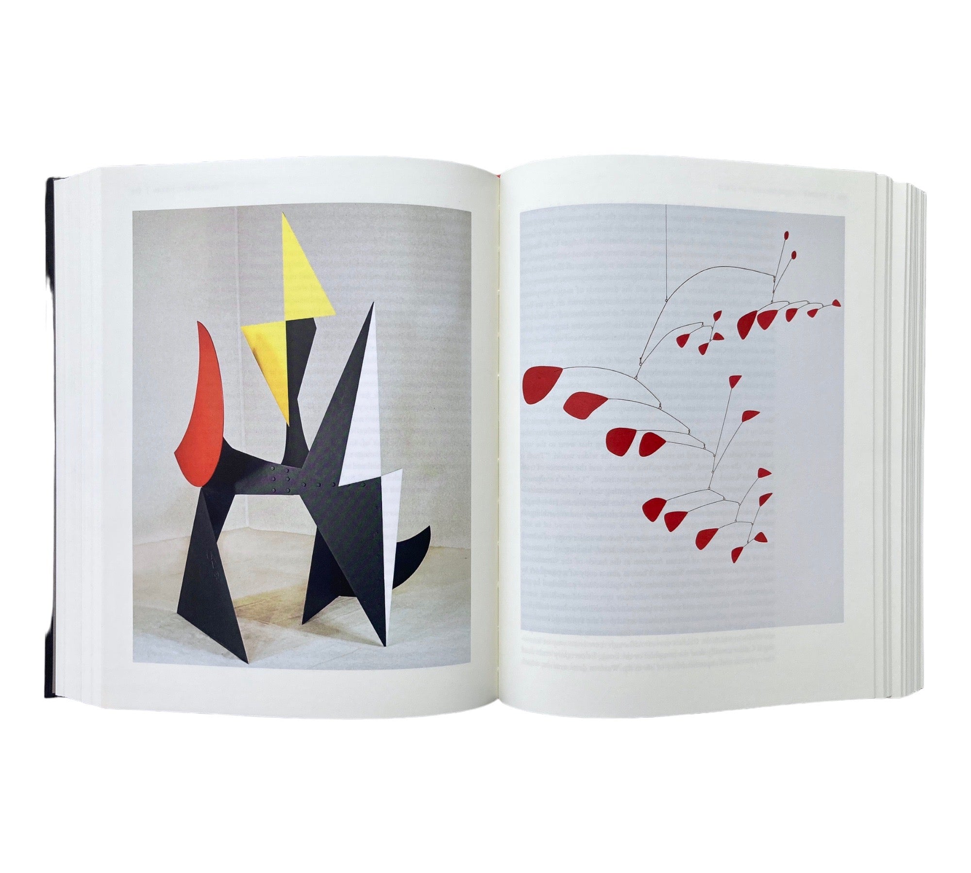 Calder (2 volume set)