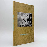 Stephen Skidmore & John Bevis: The Window Paintings