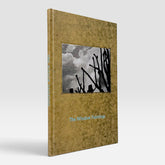 Stephen Skidmore & John Bevis: The Window Paintings