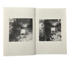 Shelagh Wakely: It is so green outside it is difficult to leave the window