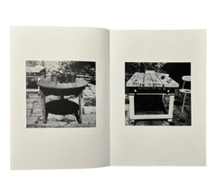 Shelagh Wakely: It is so green outside it is difficult to leave the window