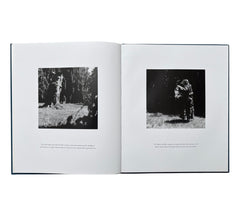 Paul Etienne Lincoln: The Purification of fagus sylvatica var pendula