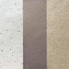 Plant Fibre Paper 3 Colour Pack - Tea | Brown Coffee | White Coffee (24 sheets)