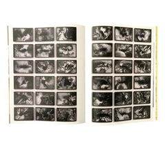 Olafur Eliasson (Modern Artists Series)