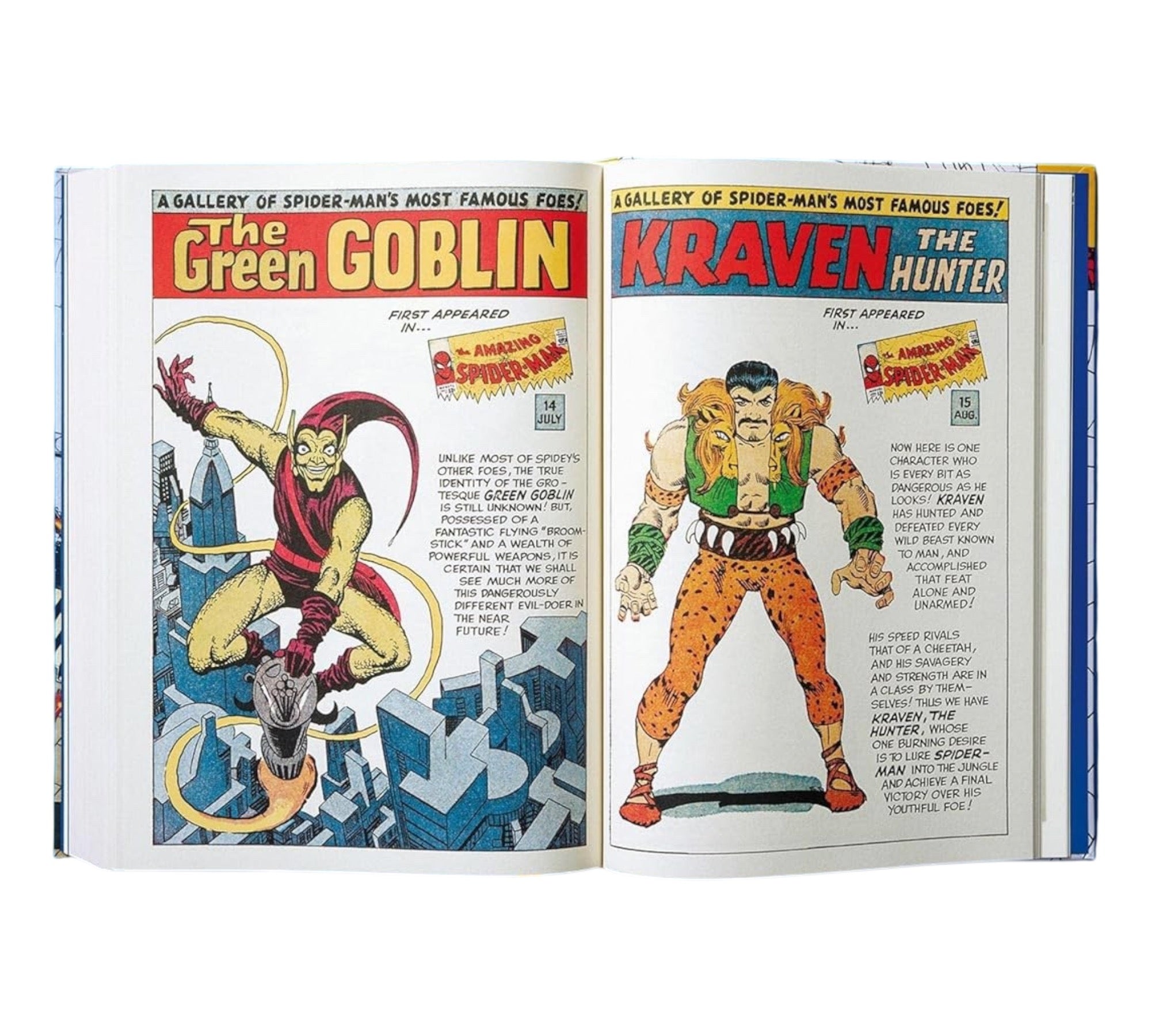 Marvel Comics Library: Spider-Man Vol. 1. 1962–1964 (XXL Edition)