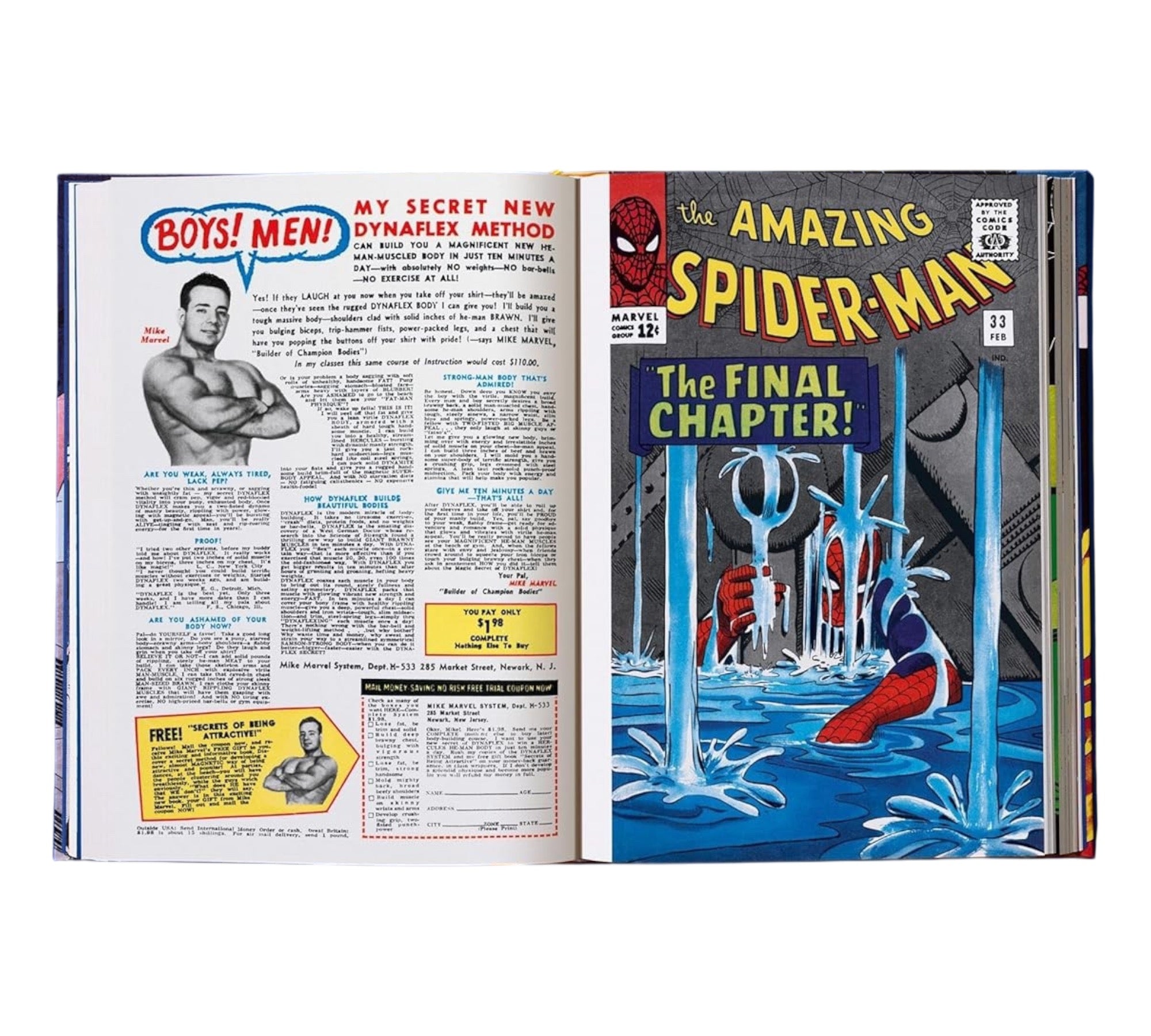 Marvel Comics Library: Spider-Man Vol. 2. 1965–1966 (XXL Edition)