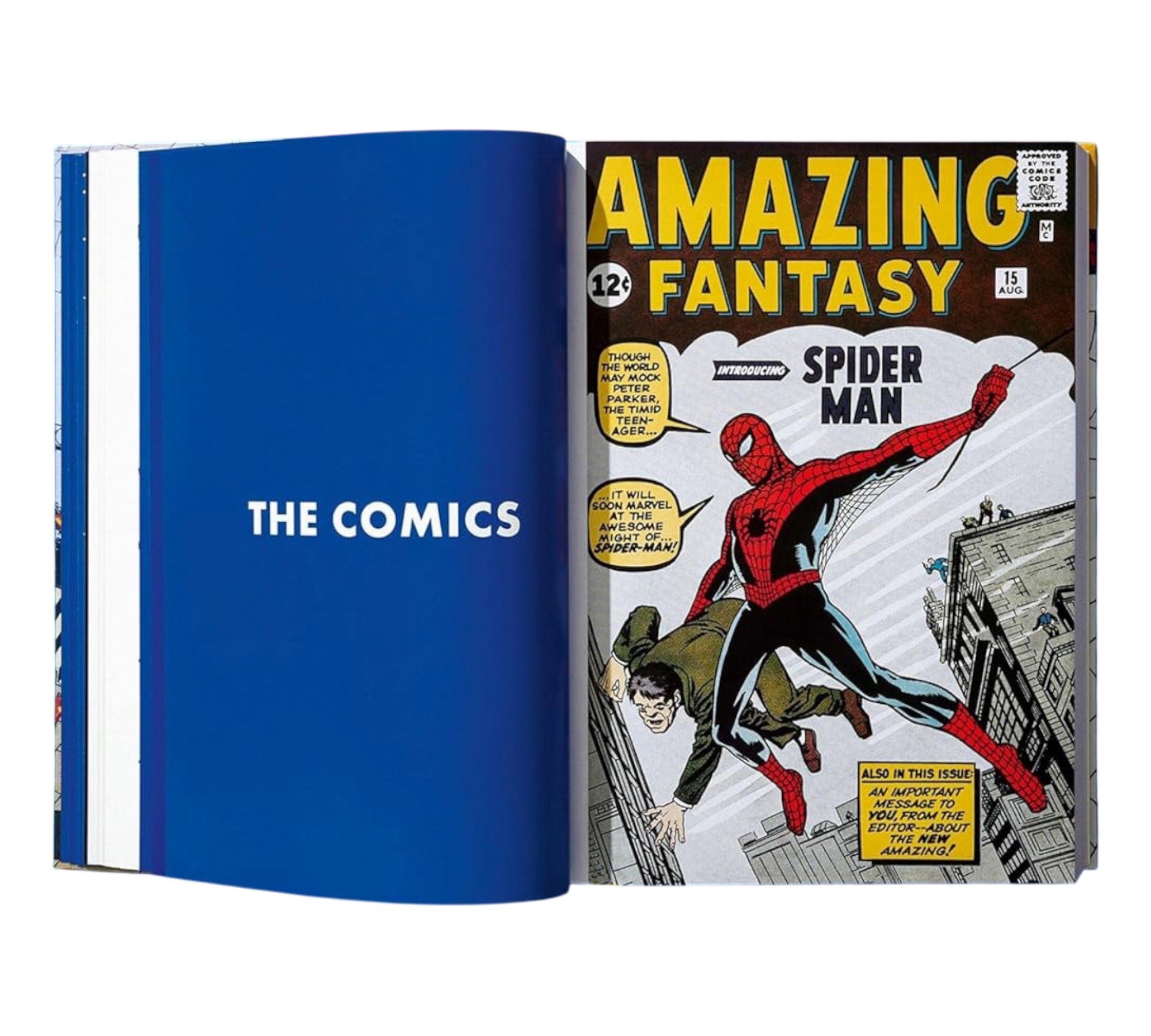 Marvel Comics Library: Spider-Man Vol. 1. 1962–1964 (XXL Edition)