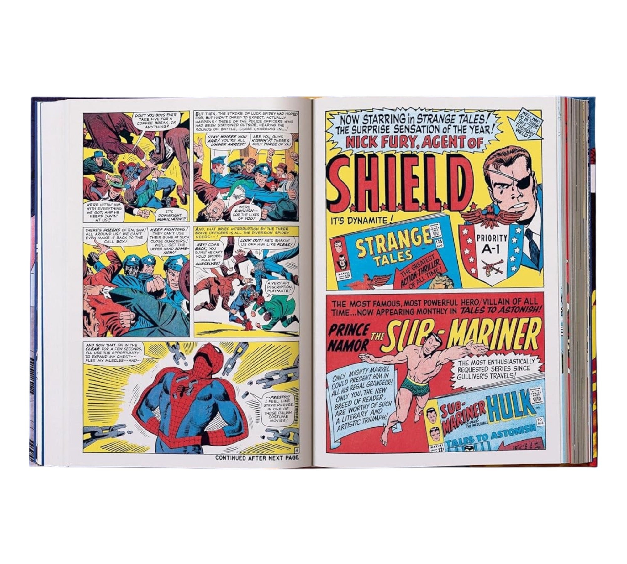 Marvel Comics Library: Spider-Man Vol. 2. 1965–1966 (XXL Edition)