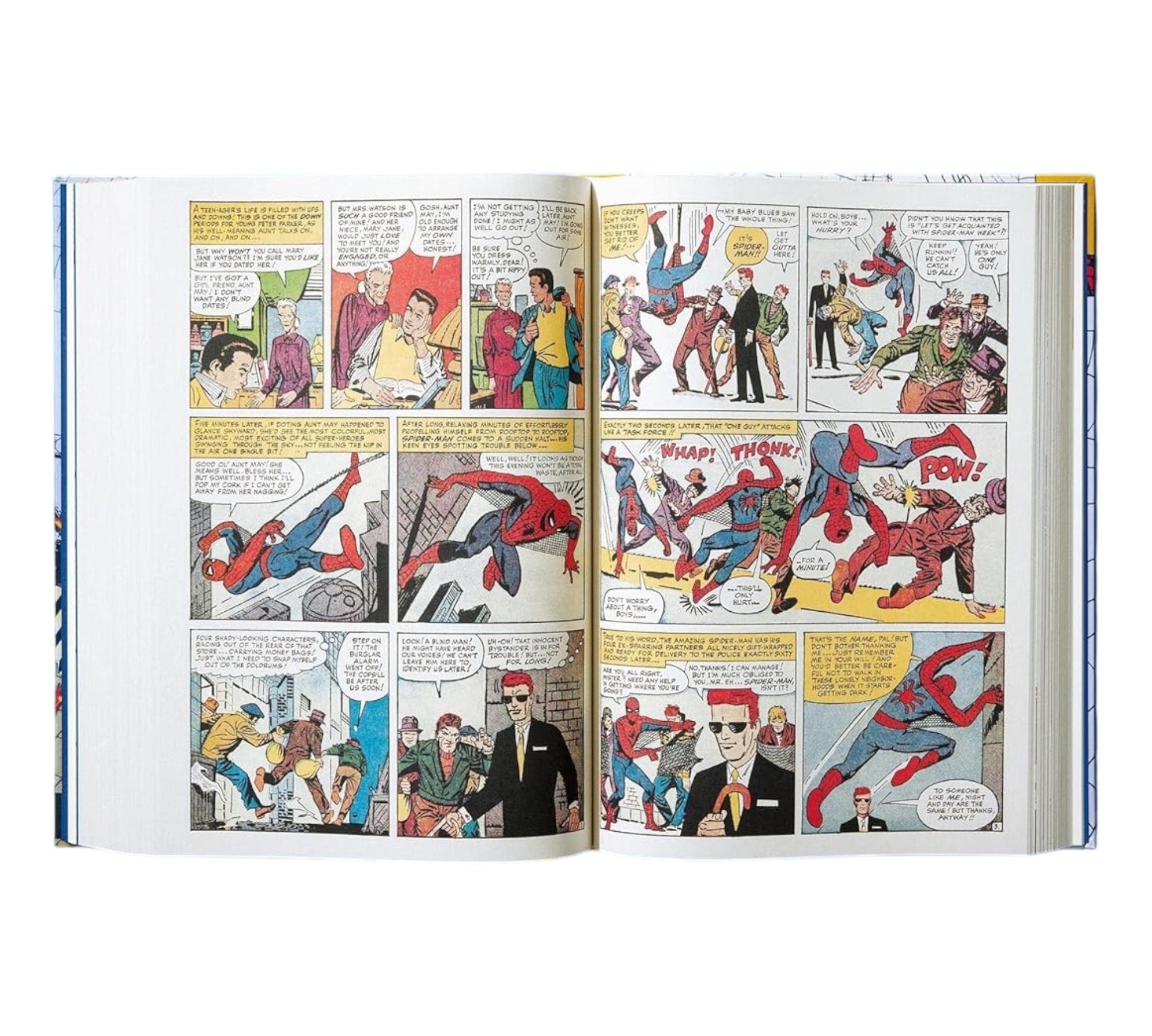 Marvel Comics Library: Spider-Man Vol. 1. 1962–1964 (XXL Edition)