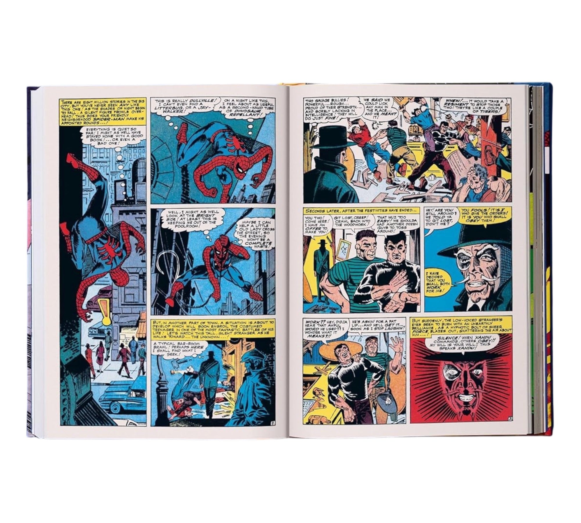Marvel Comics Library: Spider-Man Vol. 2. 1965–1966 (XXL Edition)