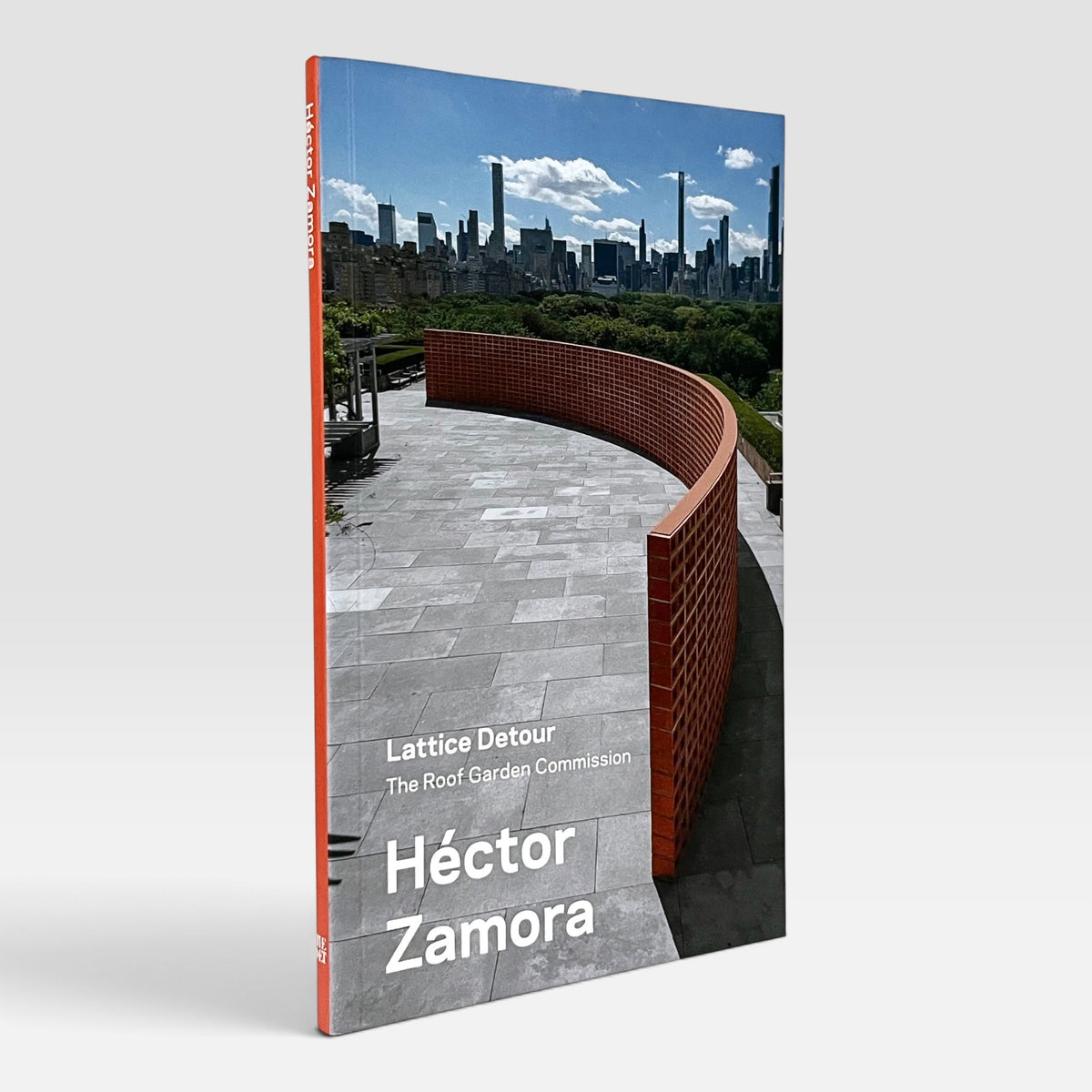 Hector Zamora: Lattice Detour (The Roof Garden Commission)