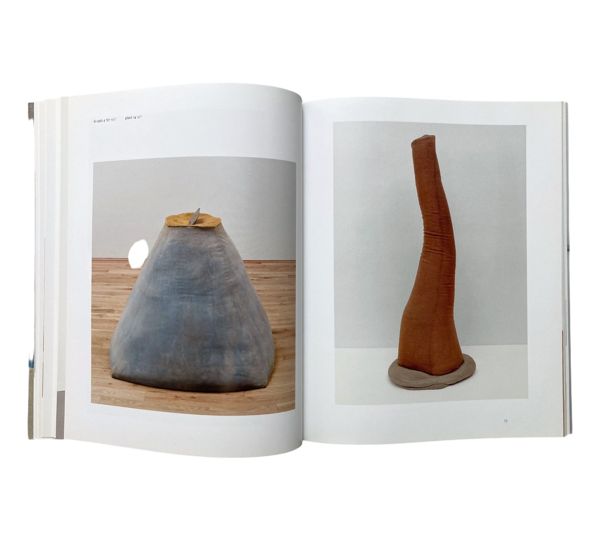 Barry Flanagan: Early Works 1965-1982