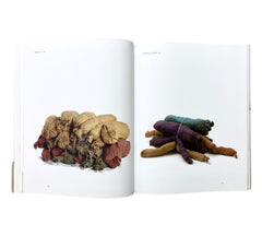 Barry Flanagan: Early Works 1965-1982