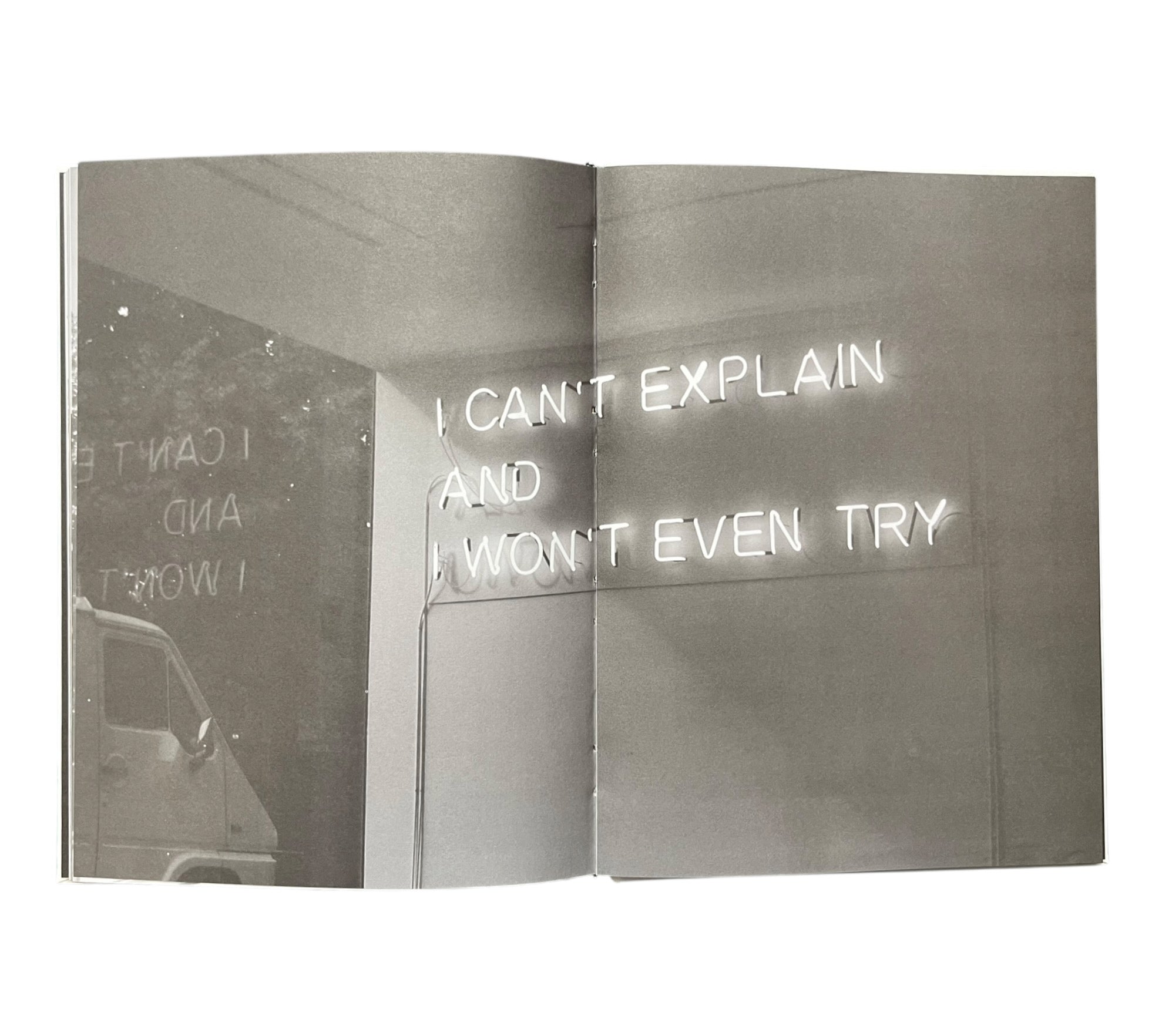 Stefan Bruggemann: Capitalism and Schizophrenia (Rare edition)