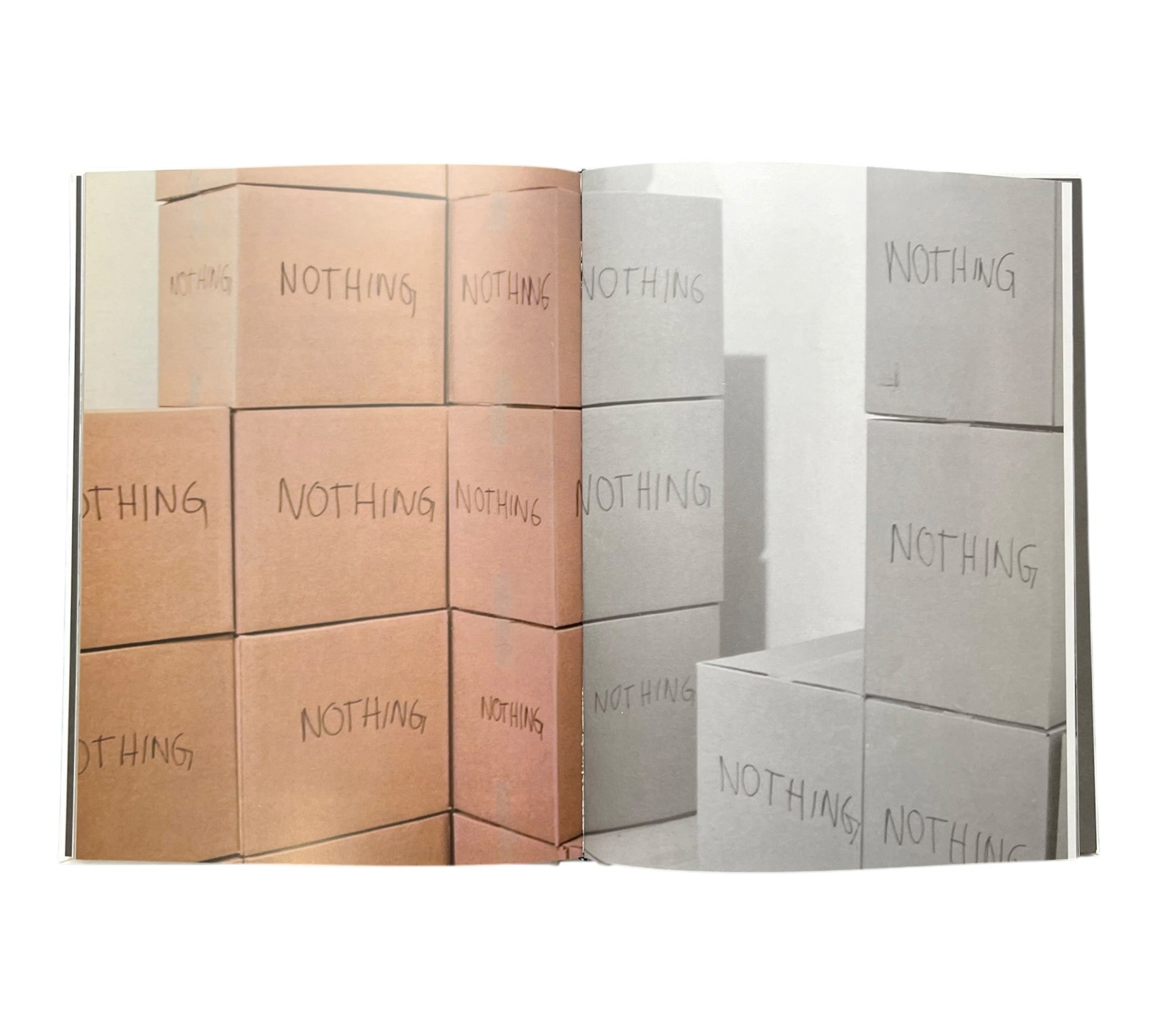 Stefan Bruggemann: Capitalism and Schizophrenia (Rare edition)