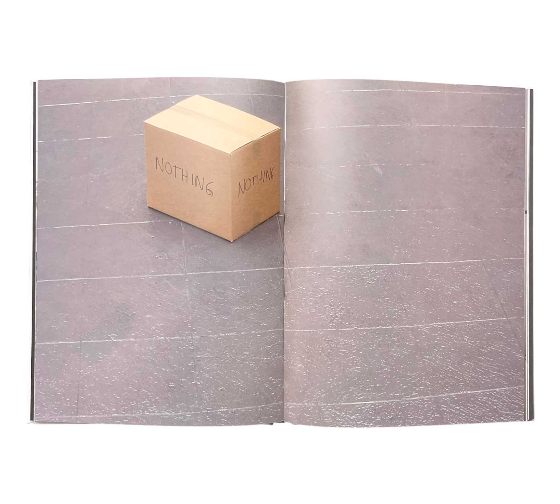 Stefan Bruggemann: Capitalism and Schizophrenia (Rare edition)