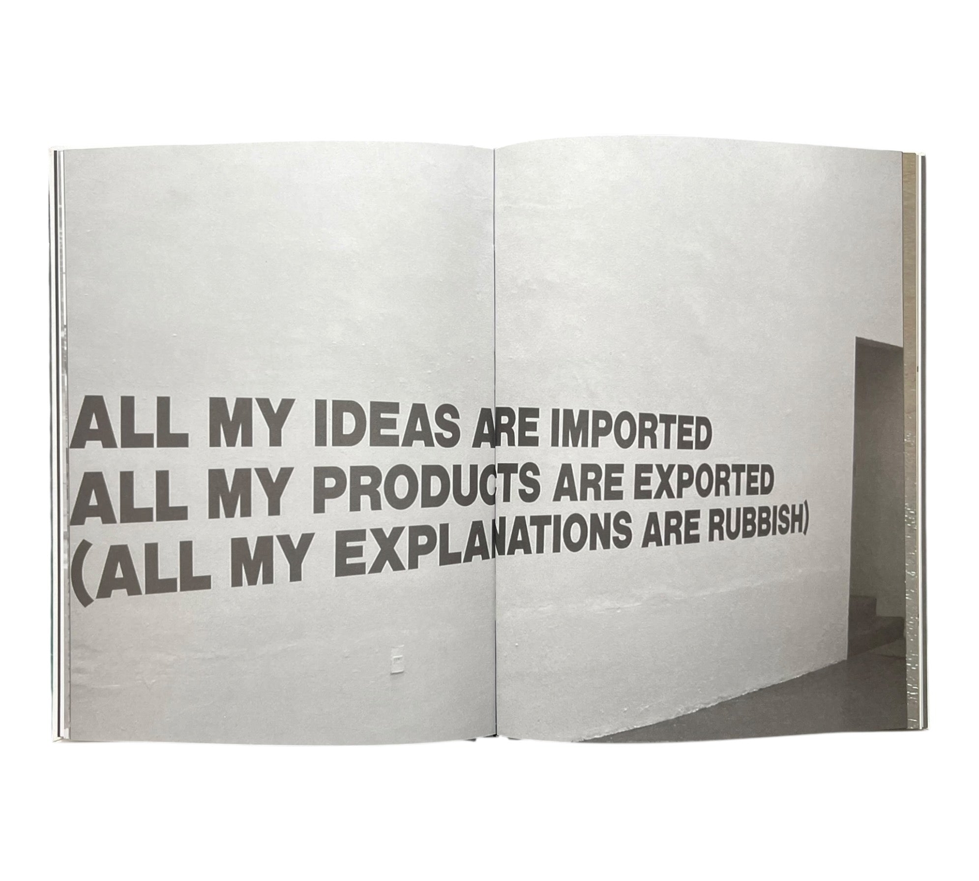 Stefan Bruggemann: Capitalism and Schizophrenia (Rare edition)