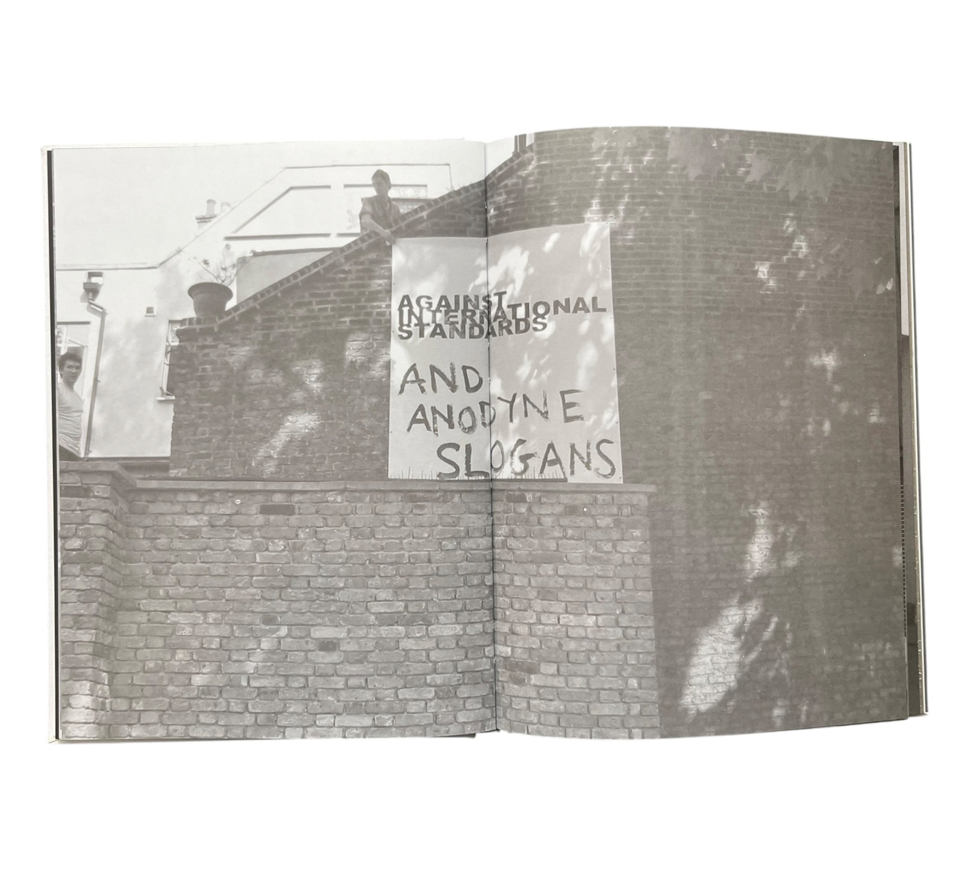 Stefan Bruggemann: Capitalism and Schizophrenia (Rare edition)