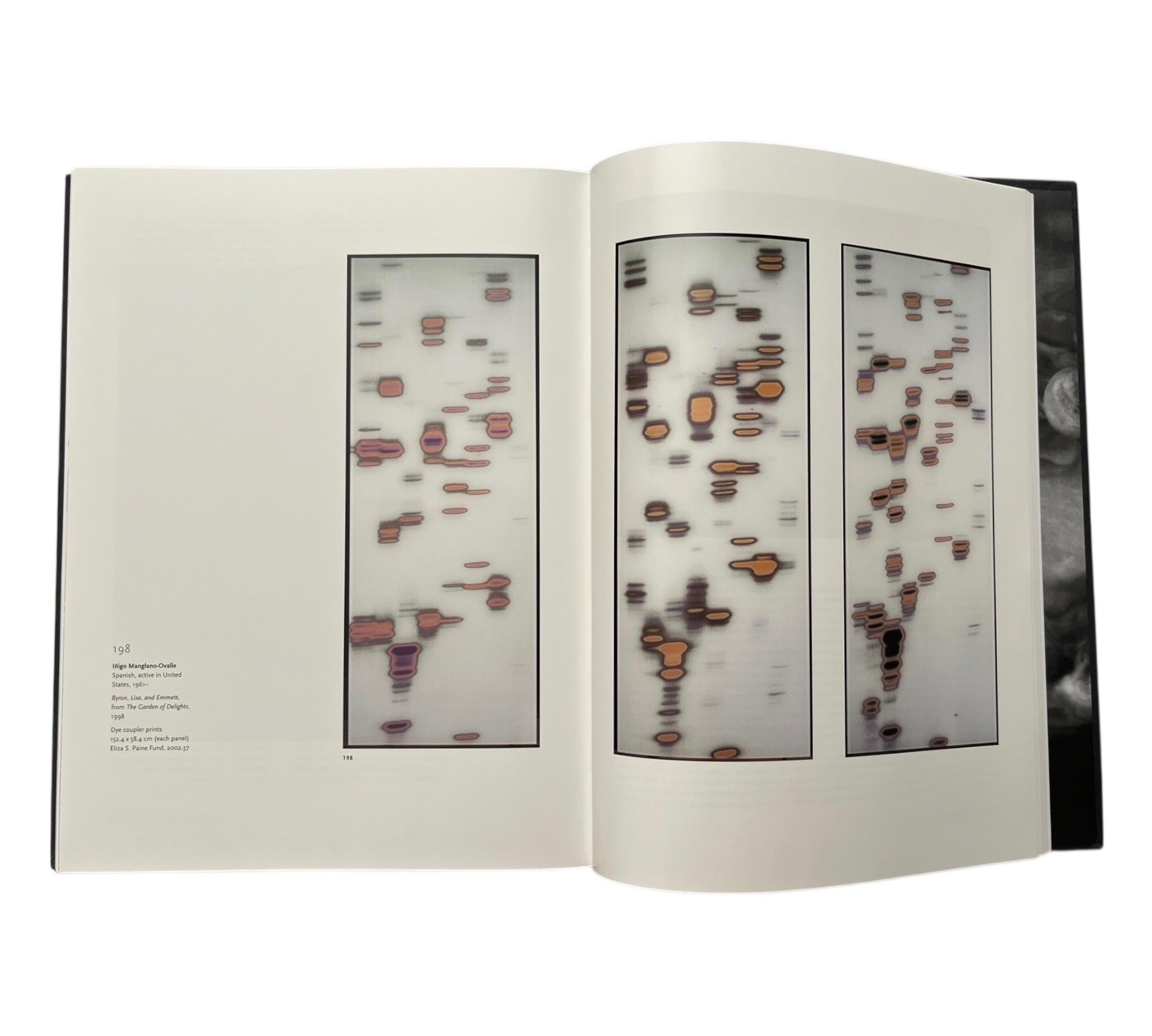 Keeping Shadows: Photography At The Worcester Art Museum