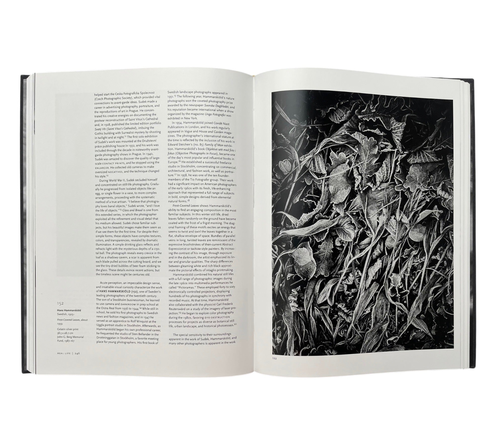 Keeping Shadows: Photography At The Worcester Art Museum