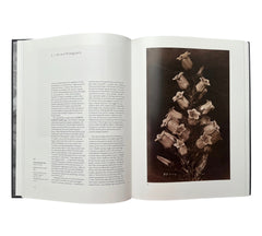 Keeping Shadows: Photography At The Worcester Art Museum