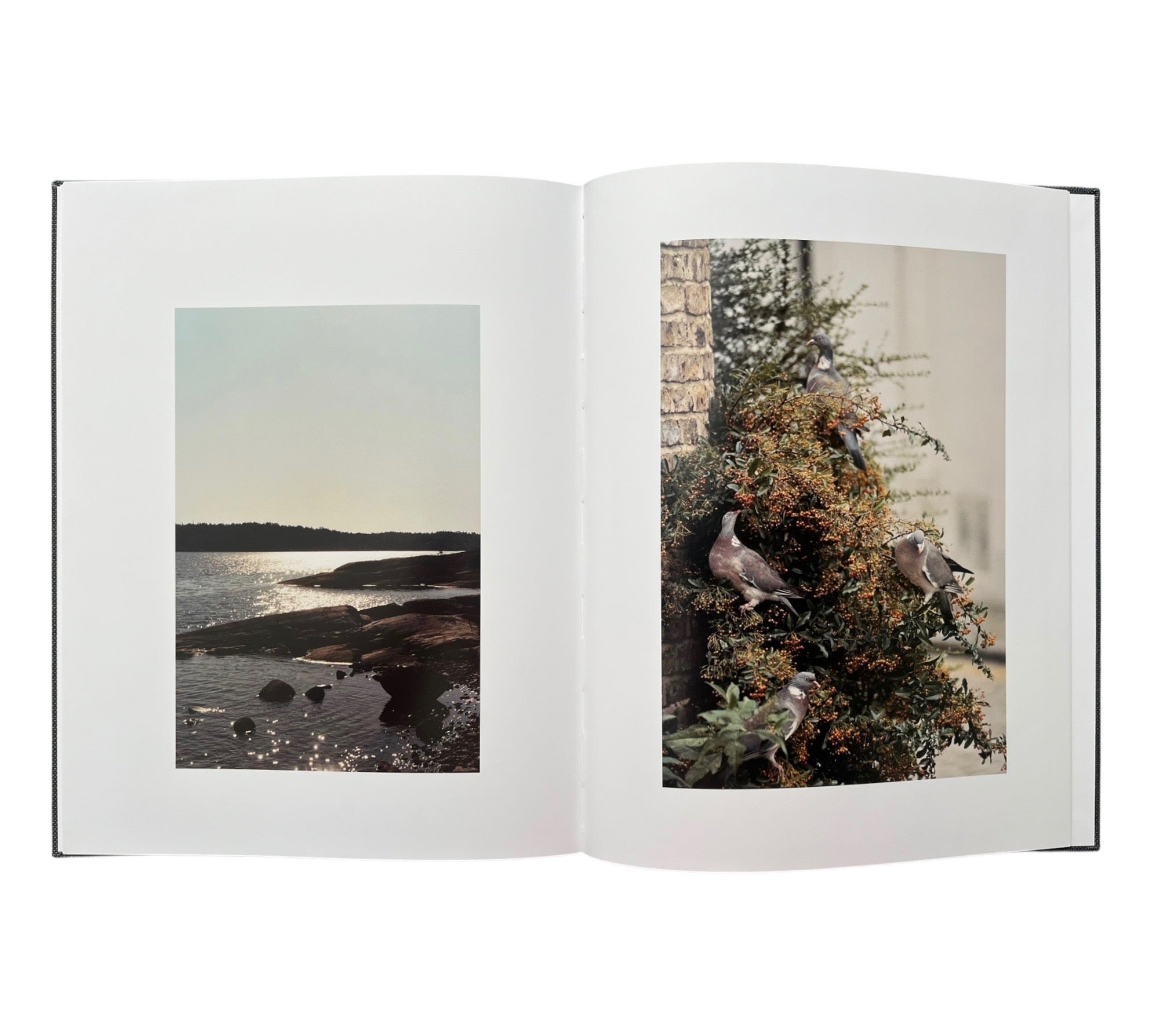 Anders Edström: Waiting Some Birds a Bus a Woman | Spidernets Places a Crew