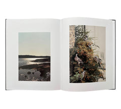 Anders Edström: Waiting Some Birds a Bus a Woman | Spidernets Places a Crew