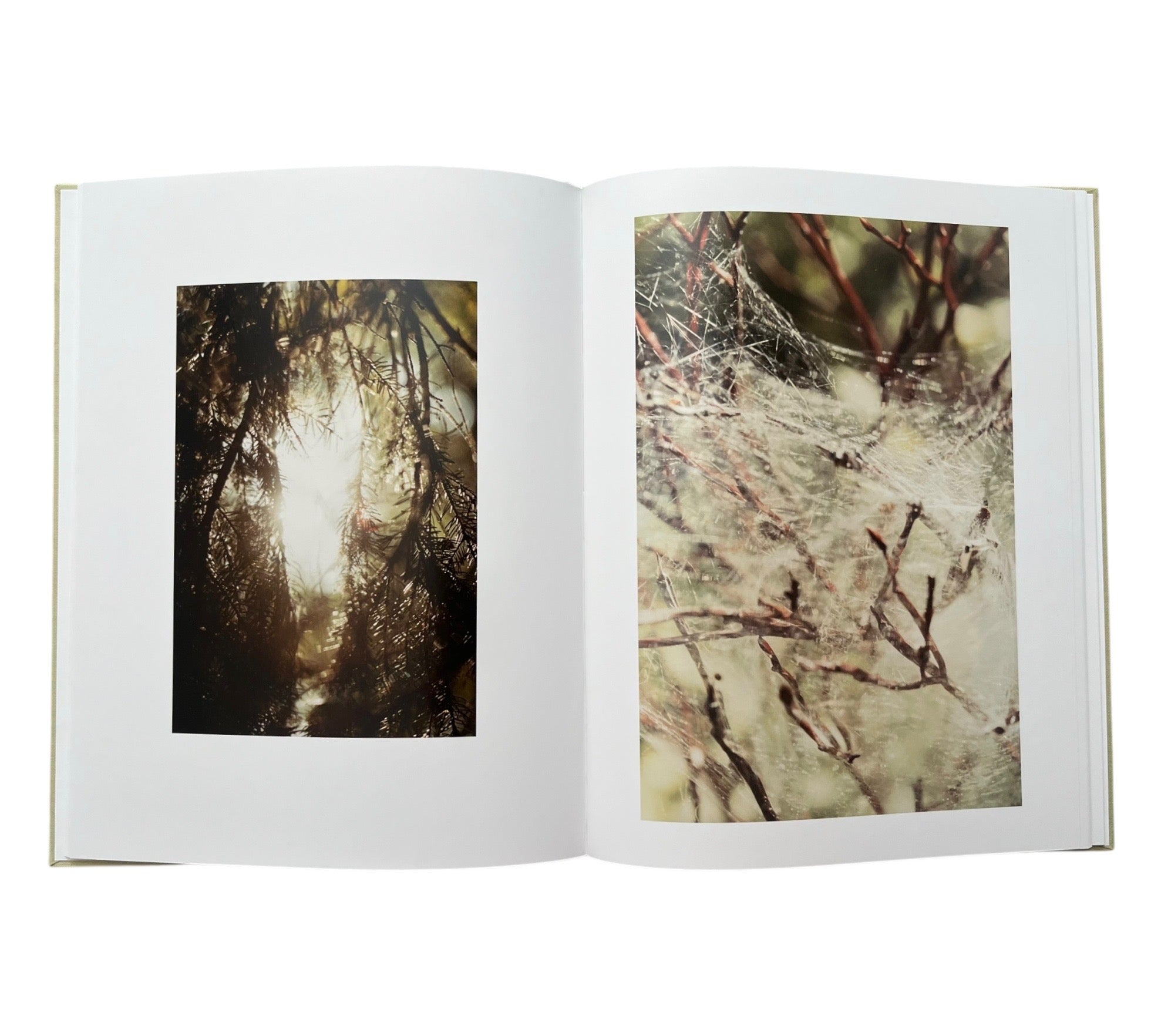 Anders Edström: Waiting Some Birds a Bus a Woman | Spidernets Places a Crew