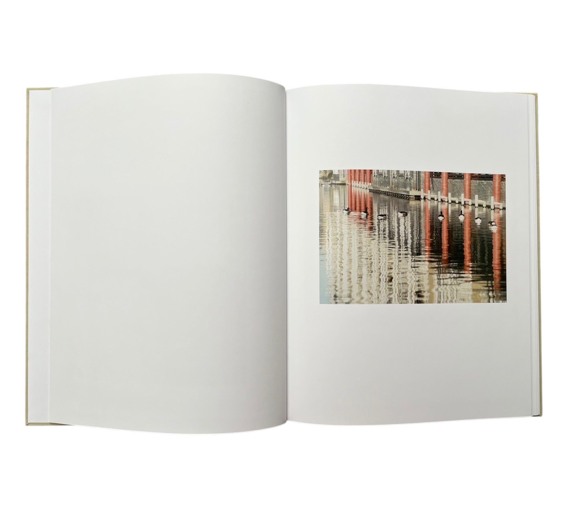 Anders Edström: Waiting Some Birds a Bus a Woman | Spidernets Places a Crew
