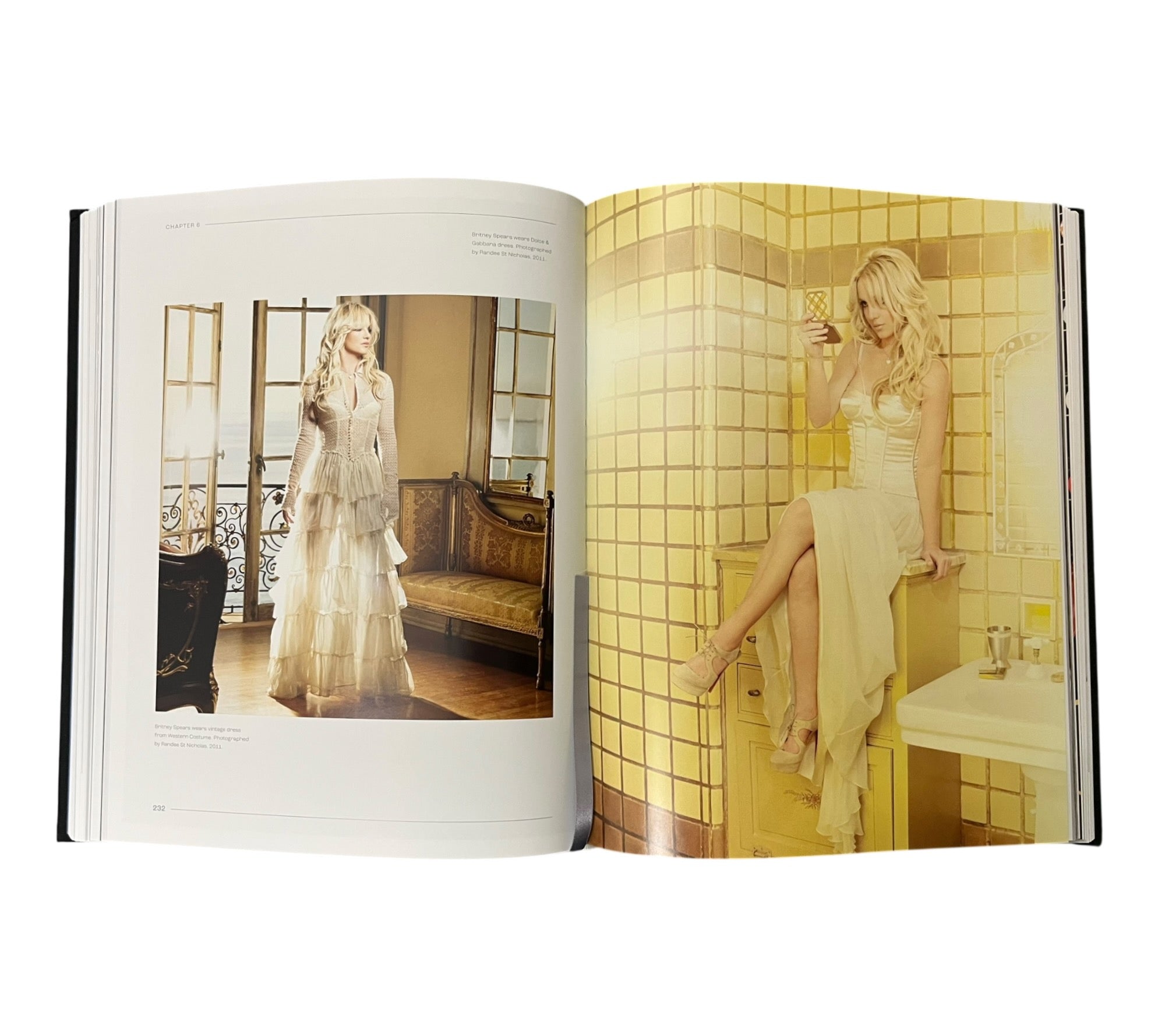 Vanity Project: A Tale of Fashion and Celebrity Styled by Dave Thomas