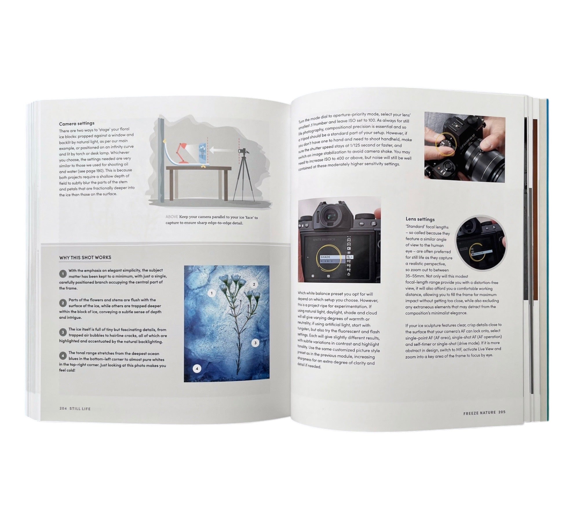 The Complete Beginner's Photography Course: A Modular System for Success