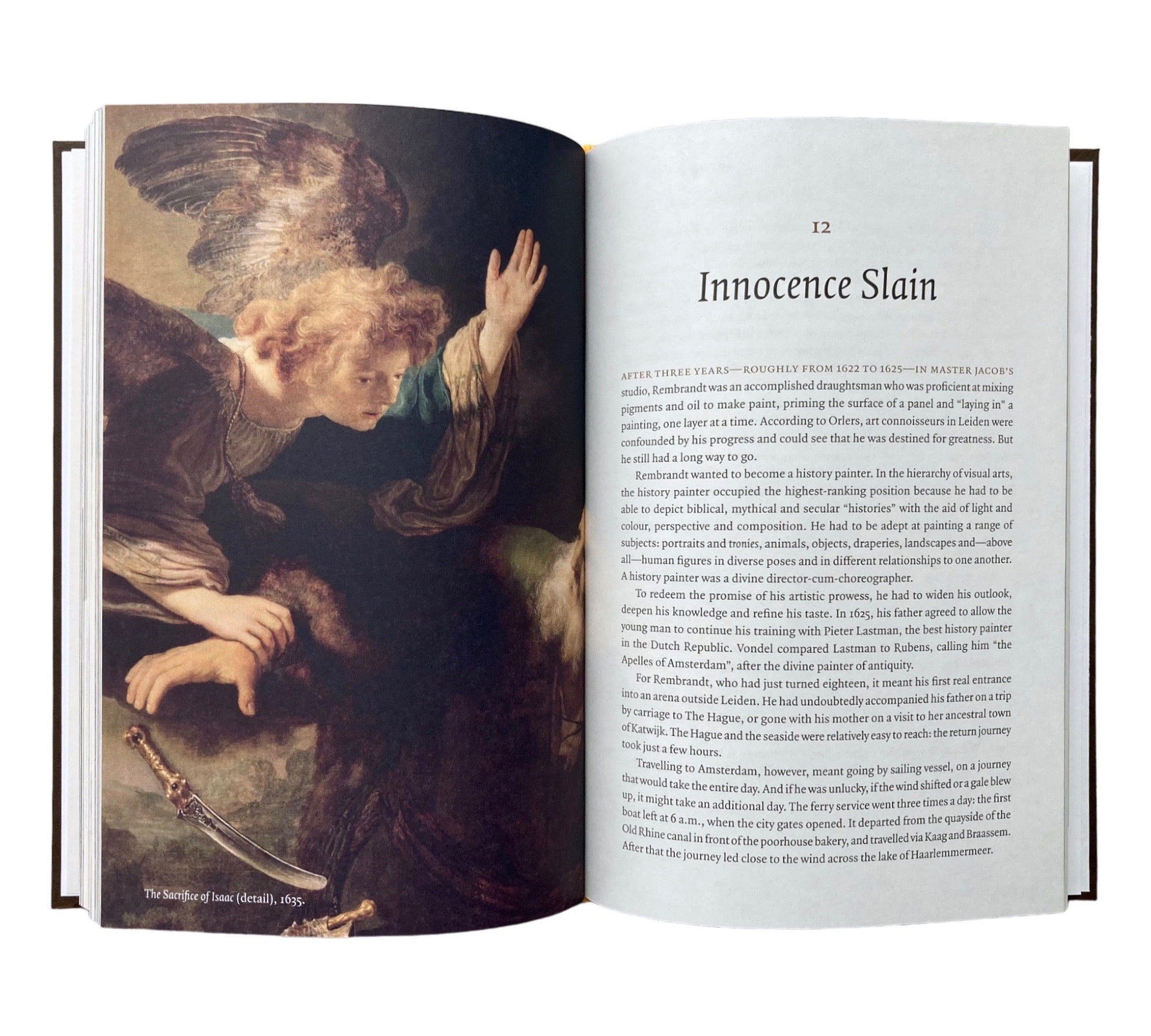 Young Rembrandt: A Biography