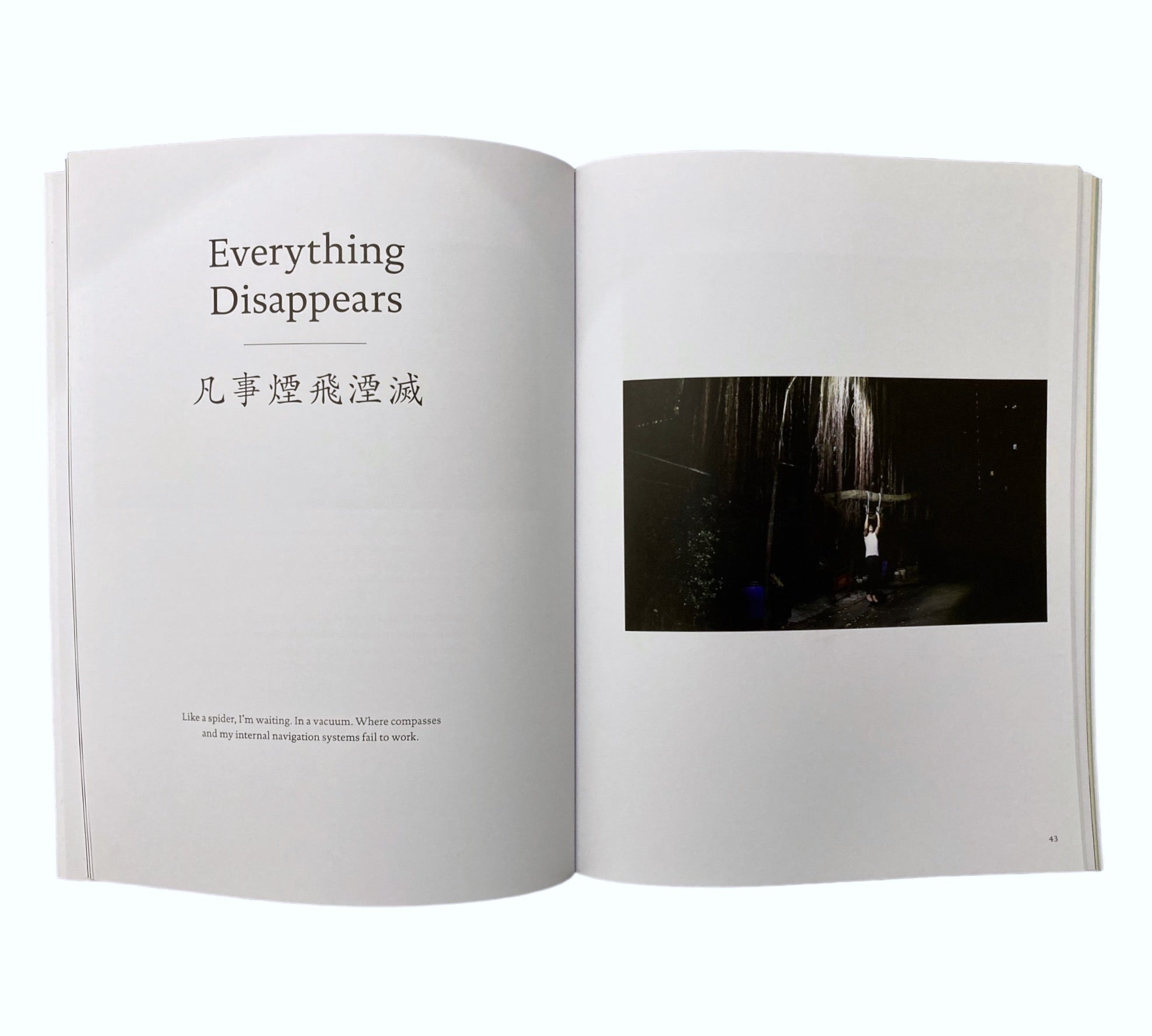 Kevin Gaffney: Unseen by My Open Eyes