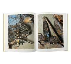 Robert Polidori: Topographical Histories