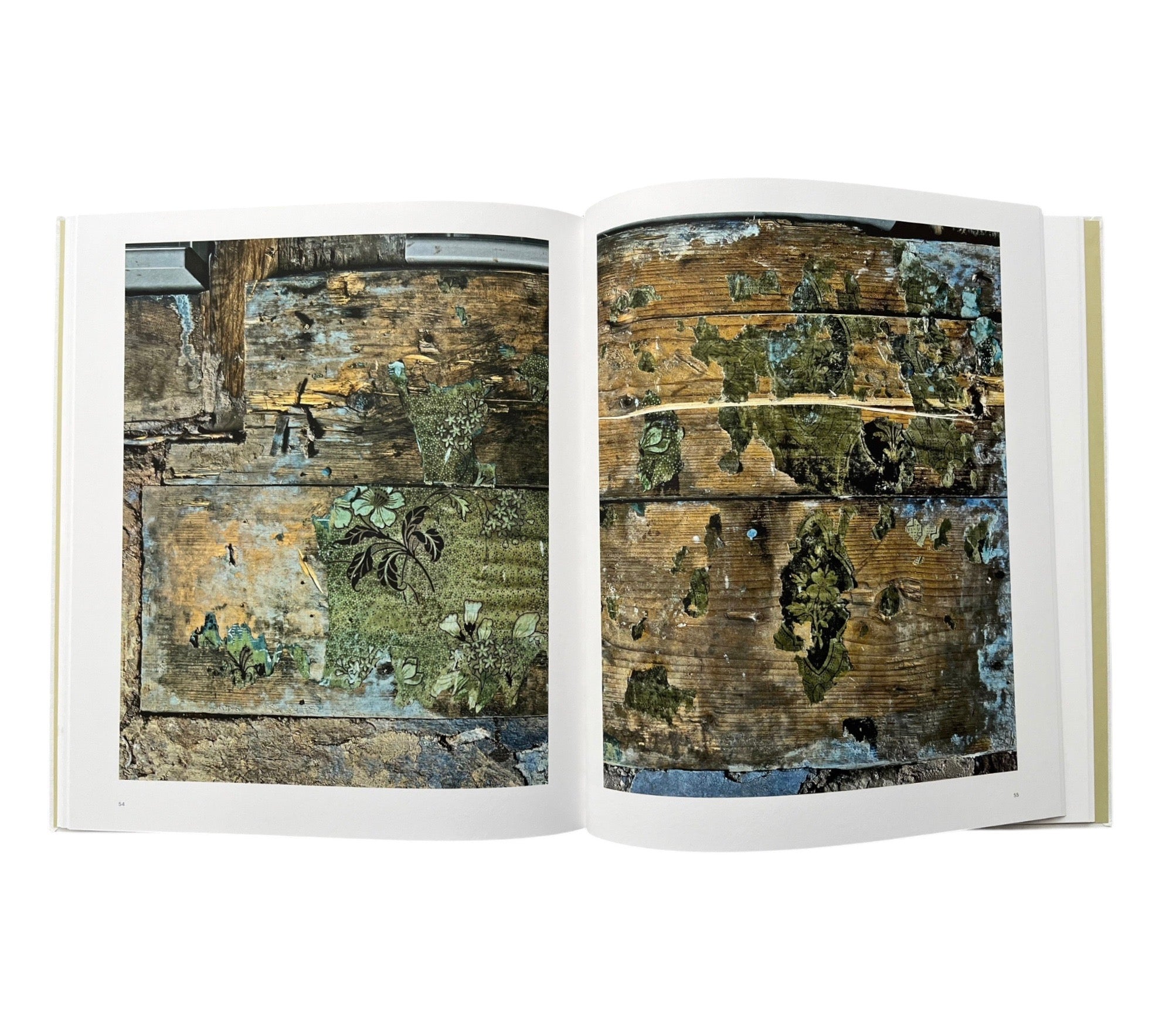 Robert Polidori: Topographical Histories